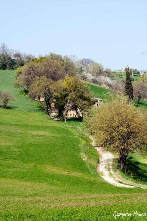 فيلا Casa Lella Monte San Pietrangeli المظهر الخارجي الصورة